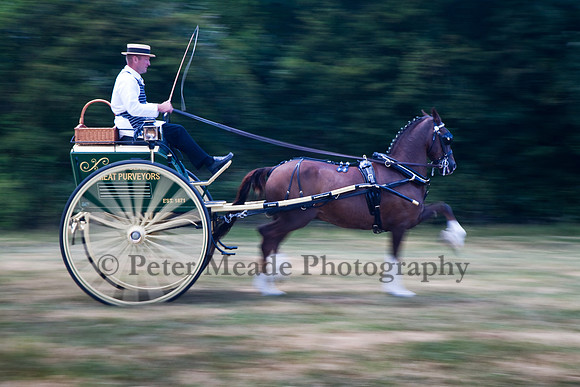 Warfield Driving Show 2010