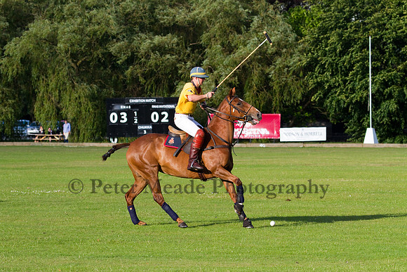 Summer Night's Polo