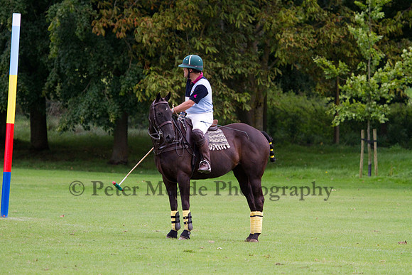 AGC Polo Cup 2011