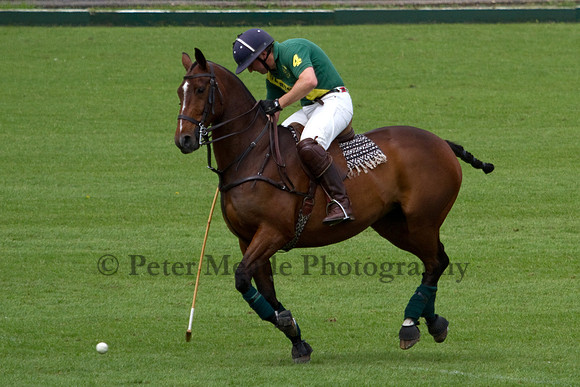 Royal Artillery Polo Tournament