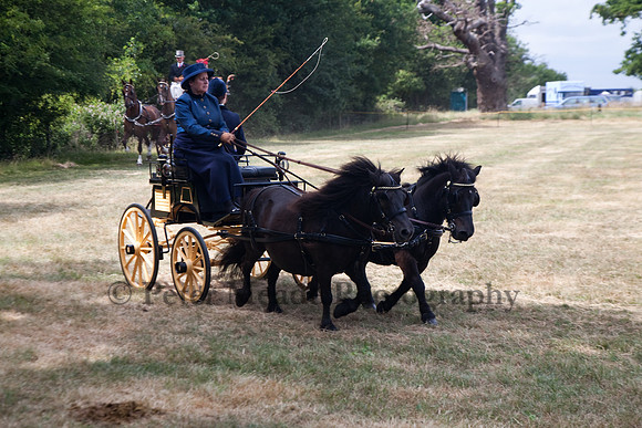 Warfield Driving Show 2010