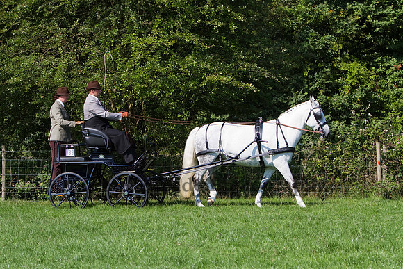 Warfield Driving show 2011