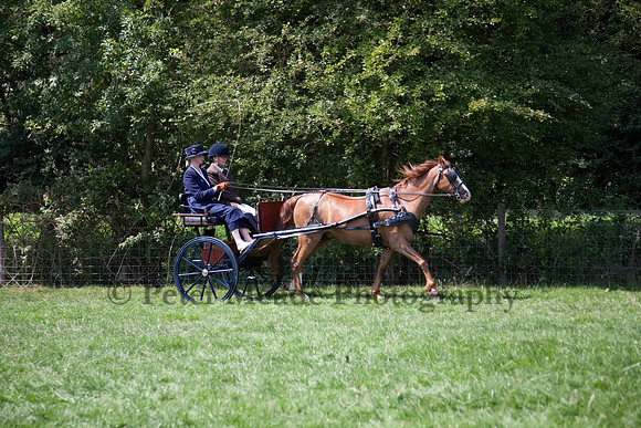 Warfield Driving show 2011