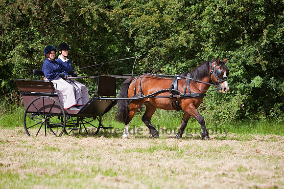Warfield Driving Show 2012