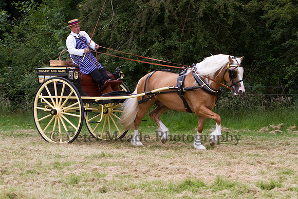 Warfield Driving Show 2012