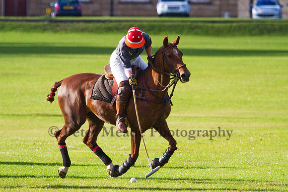 Summer Night's Polo
