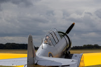 6F9A6404