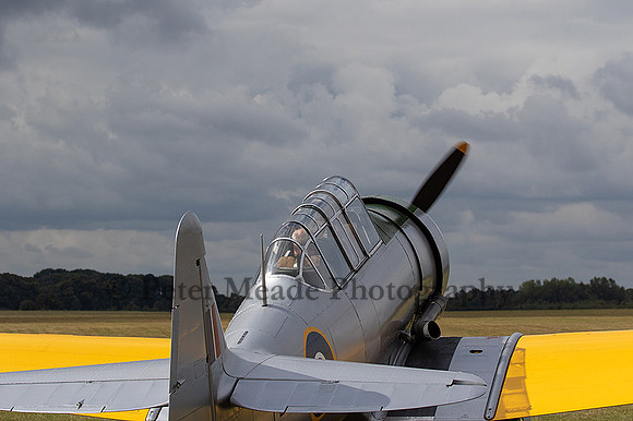 6F9A6404