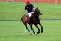 Royal Artillery Polo Tournament