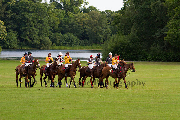 Summer Night's Polo