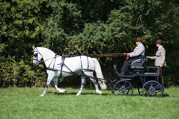 Warfield Driving show 2011