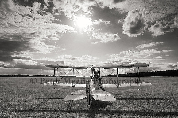 135A0033_a