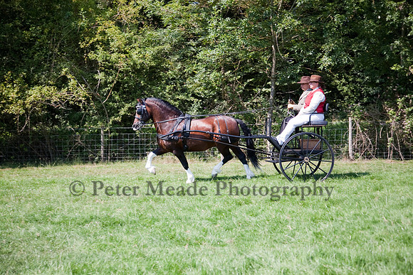 Warfield Driving show 2011