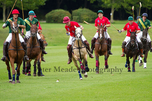 AGC Polo Cup 2011