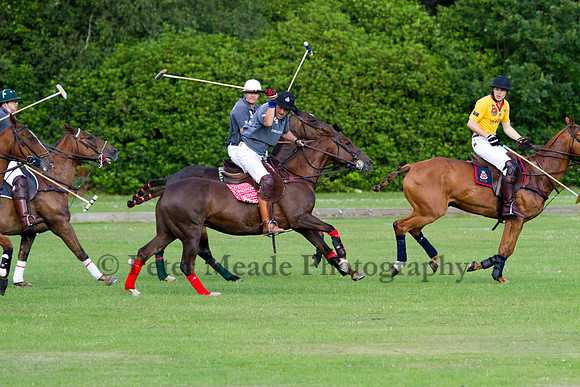 Summer Night's Polo