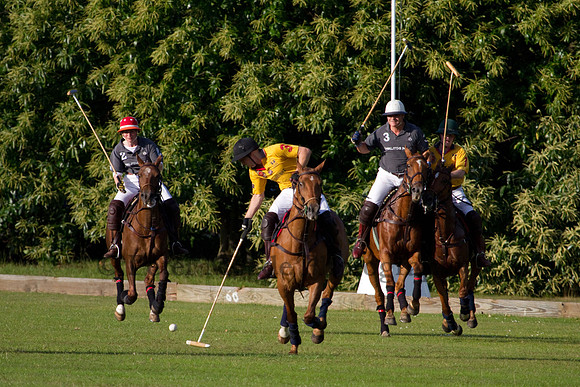 Summer Night's Polo