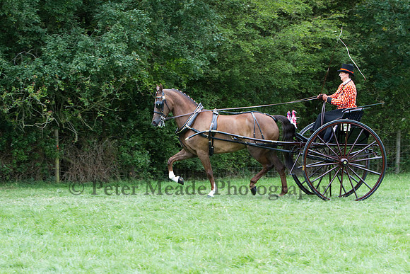 Warfield Driving show 2011