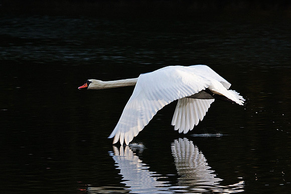 Early take off