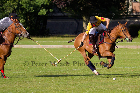 Summer Night's Polo