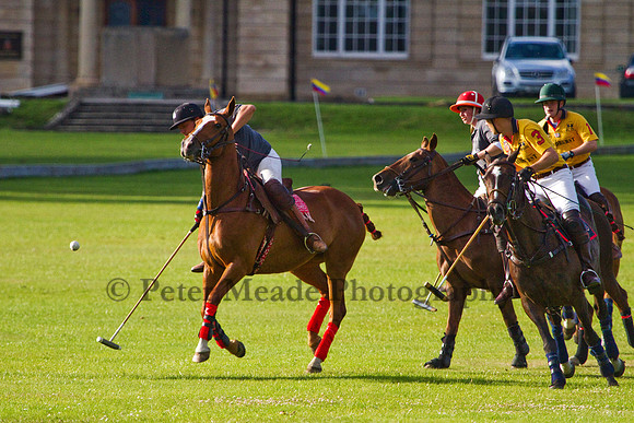 Summer Night's Polo