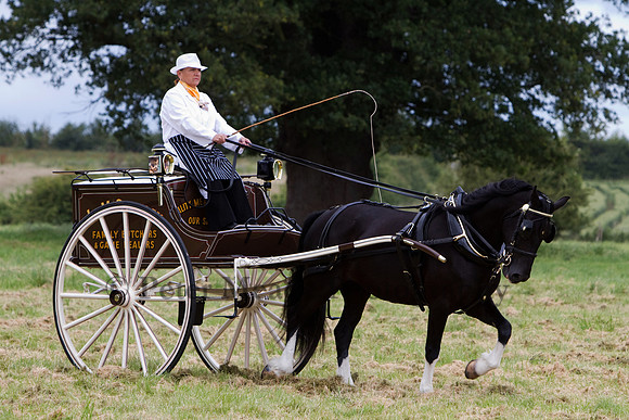 Warfield Driving Show 2012