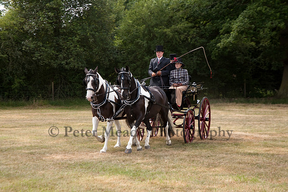 Warfield Driving Show 2010