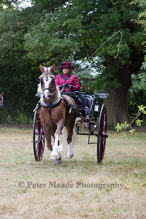 Warfield Driving show 2009