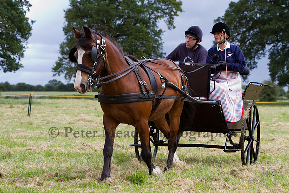 Warfield Driving Show 2012