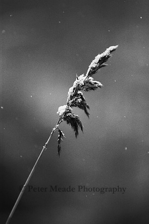 CNV00008_b