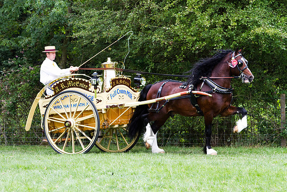 Warfield Driving show 2011