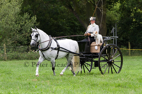 Warfield Driving show 2011