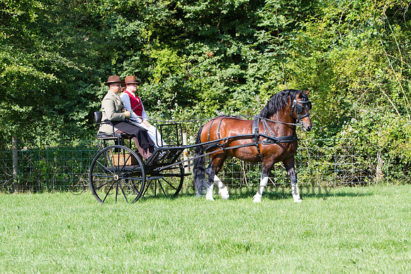 Warfield Driving show 2011