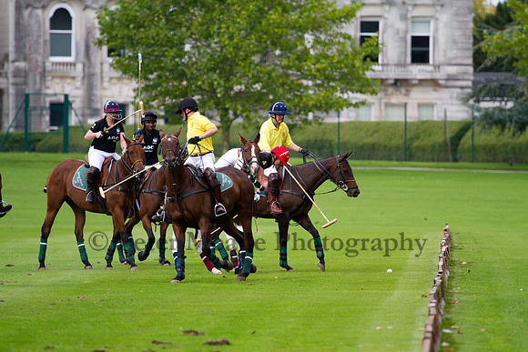 AGC Polo Cup 2011