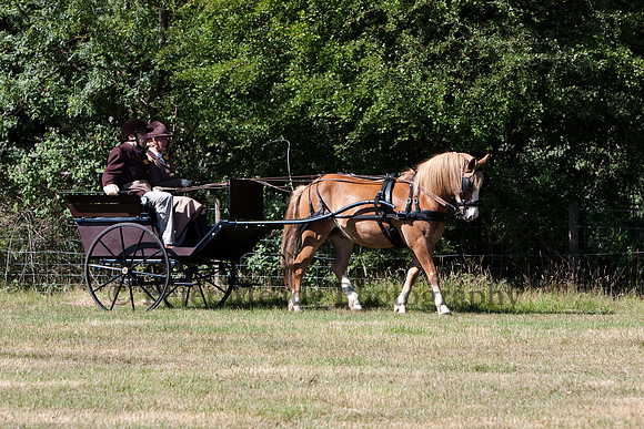 Warfield Driving Show 2010