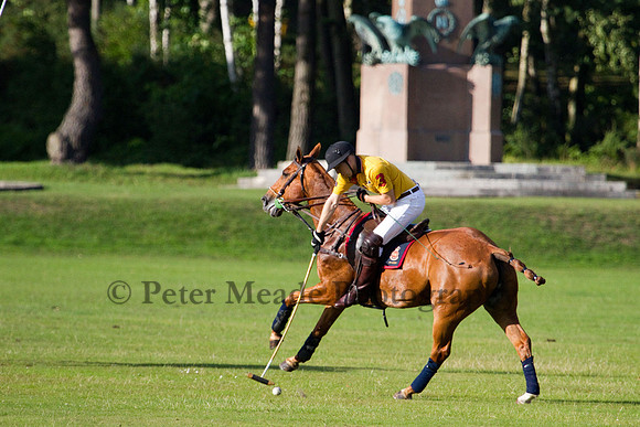 Summer Night's Polo