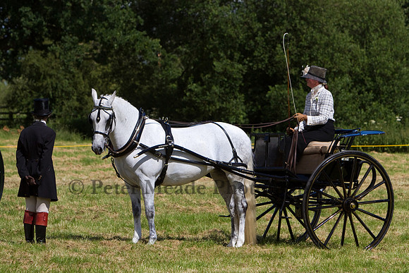 Warfield Driving Show 2012