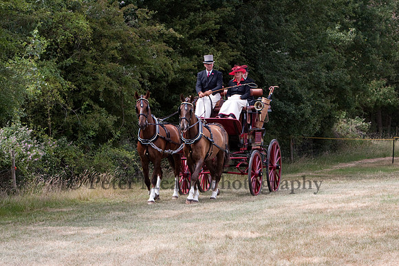 Warfield Driving Show 2010