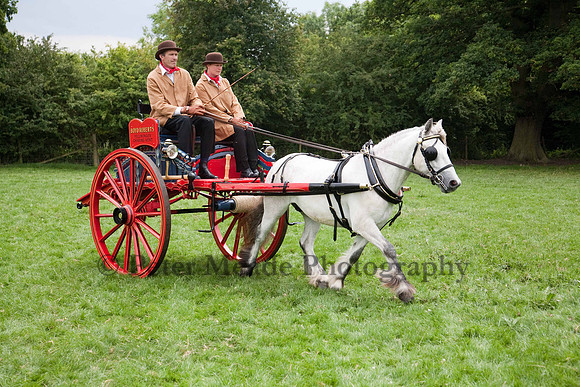 Warfield Driving show 2011