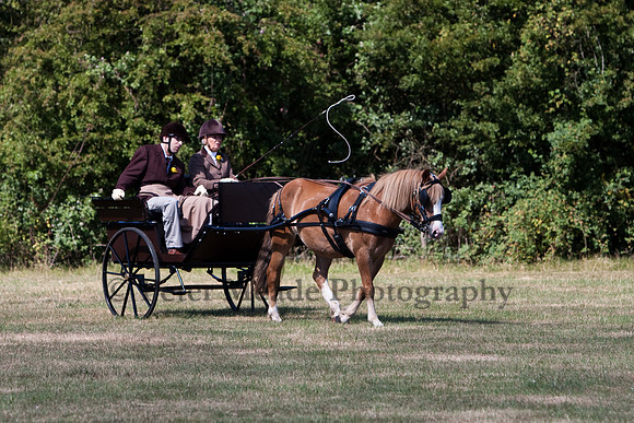 Warfield Driving Show 2010