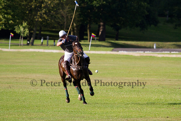 Summer Night's Polo
