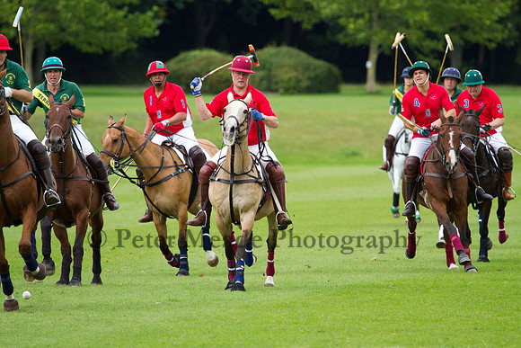 AGC Polo Cup 2011
