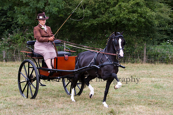 Warfield Driving show 2009