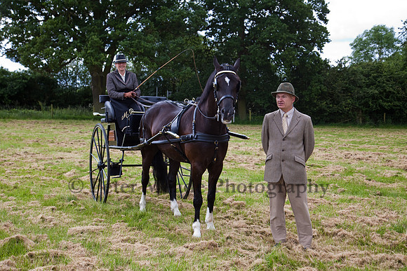 Warfield Driving Show 2012