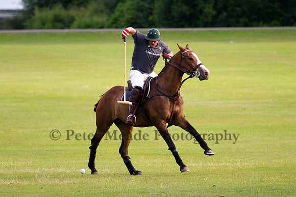 Summer Night's Polo