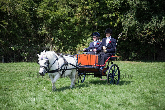 Warfield Driving show 2011