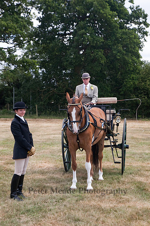 Warfield Driving Show 2010