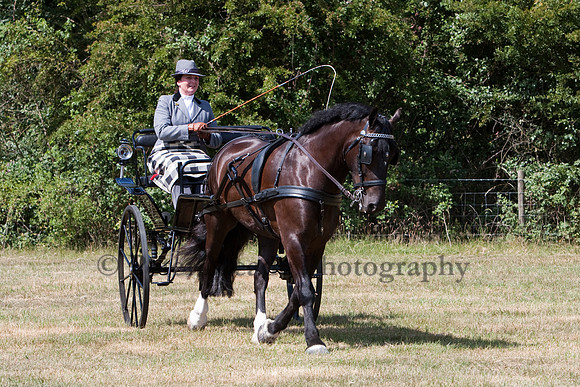 Warfield Driving Show 2010