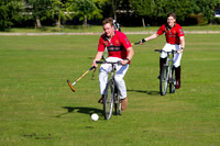 Summer Night's Polo