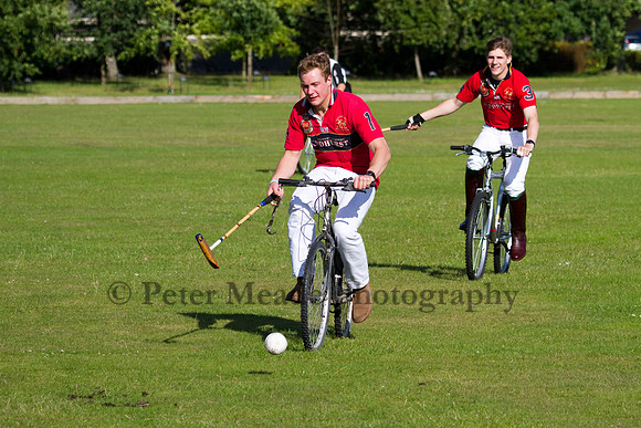 Summer Night's Polo