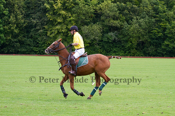 AGC Polo Cup 2011